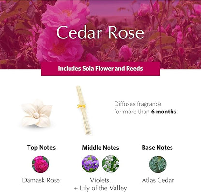 AGRARIA PetiteEssence Flower and Reed Diffuser Set, Hand Crafted Sola Flower Botanical Home Fragrance, Scented Oil Gift Set for All Occasions