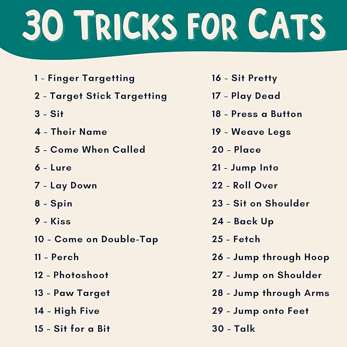 The Click Crusade (Cat Training Card Game Guide to Clicker Training for Cats for Teaching Tricks, Improving Communication and Bonding with Your Kitten (Clicker not Included)-Mewly Pet