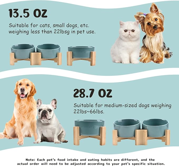 SPUNKYJUNKY 15° Slanted Ceramic Dog and Cat Bowl with Wooden Stand, Tilted Bulldog Food and Water Bowl No Slip Non-Spill for Cats Medium Dogs Big Face Pets 13.5 OZ (1.7 Cups, Light Green × 2)-Mewly Pet