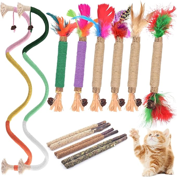TINDTOP Cat Chew Toys, 12 Pack Silvervine Chew Sticks with 2 Pack Chew Ropes for Kittens Teeth Cleaning, Increase Appetite, Aggressive Chewers Cat Dental Toy-Mewly Pet
