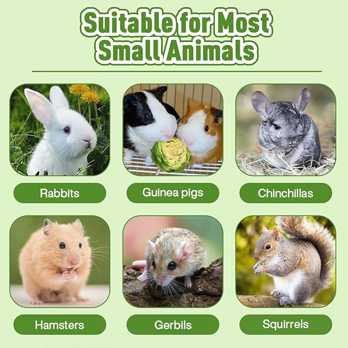 Abizoo Freeze Dried Brussels Sprouts Rabbit and Hamster Chew Treats Resealable Jar for Hamsters Bunny Guinea Pigs Groundhogs Natural Fiber Vitamin Snacks-Mewly Pet