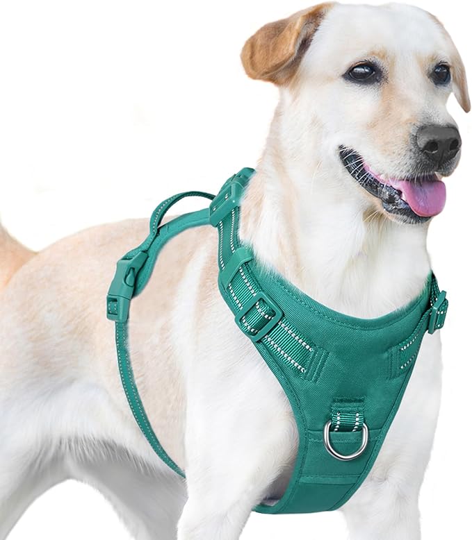 No Pull Dog Harness, Reflective Puppy Vest for Small Medium Large Sized Dog(MARRS Green,S)-Mewly Pet