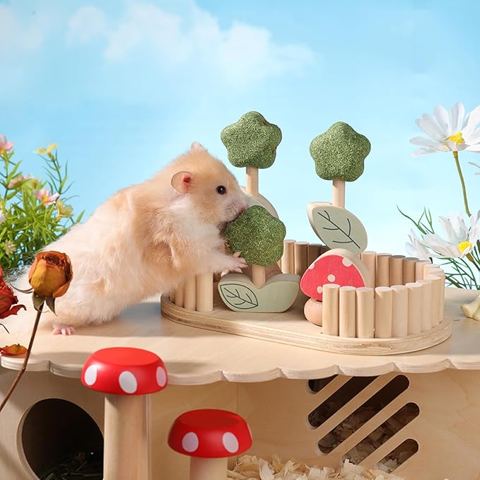 mini&moe Hamster Chew Toys for Teeth - Guinea Pig Chews Enrichment Toys Natural Edible Rabbit Chew Toy for Bunny, Rat, Chinchilla, Gerbils and Others Small Animal-Mewly Pet