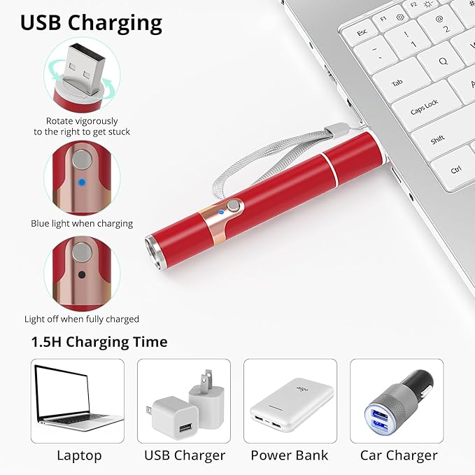 TBTeek Cat Toys for Indoor Cats, 2 Pieces, Rechargeable, 7 Adjustable Patterns, Interactive Kitten Pet Dog Chase Toy for Cats Fun Playing Exercise（Red）-Mewly Pet