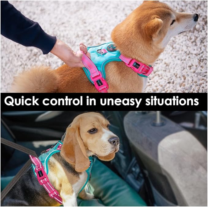 PHOEPET No Pull Dog Harness, Unique Colors Reflective Adjustable Dog Vest, with Soft Training Handle Metal Clips for Small Medium Large Dogs (Mint Green Base & Pink Straps,XS)-Mewly Pet
