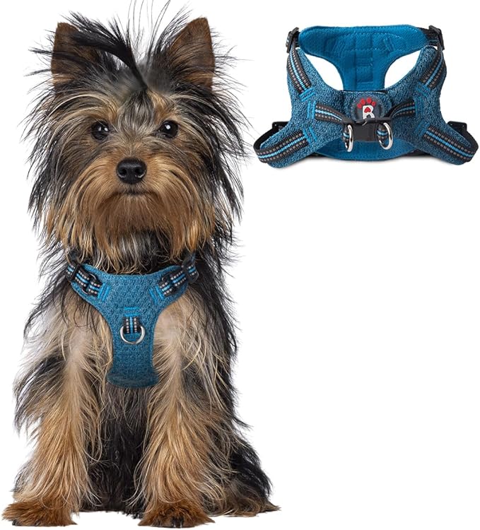 BARKBAY Dog Harness, Reflective Adjustable Step-in Vest Harness, Blue/Black, XXS-Mewly Pet