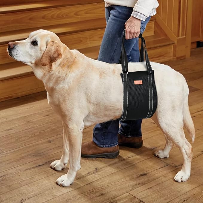 LOOBANI Portable Dog Sling for Back Legs, Hip Support Harness to Help Lift Dogs Rear for Canine Aid and Old K9 Cruciate Ligament Rehabilitation-Mewly Pet