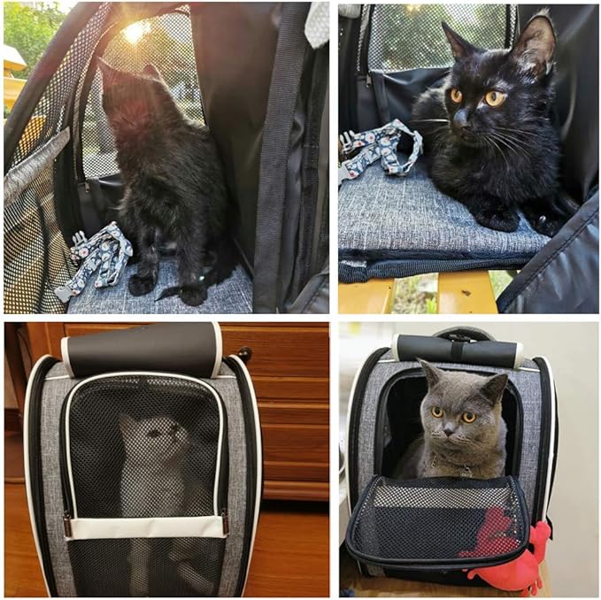 Texsens Pet Carrier Backpack with Window Blind for Small Cats Dogs, Ventilated Design, Safety Straps, Buckle Support, Collapsible, Designed for Travel, Hiking, Winter Outing, Outdoor, Go to Vet-Mewly Pet