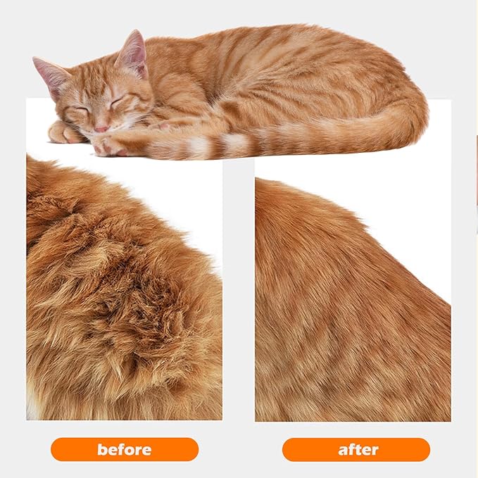 Cat Steam Brushes for Shedding, 4 in 1 Rechargeable Steam Cat Brush for Indoor Cats & Dogs, Grooming Comb with Spray-Mewly Pet