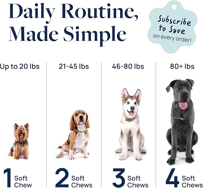 Veterinary Formula Gut Health Supplement for Dogs – Vet-Formulated Probiotic Chews with Digestive Enzymes & Fiber – Smart Vitality Supports Digestive Health, Gut Balance & Stool Quality, 60 Soft Chews-Mewly Pet