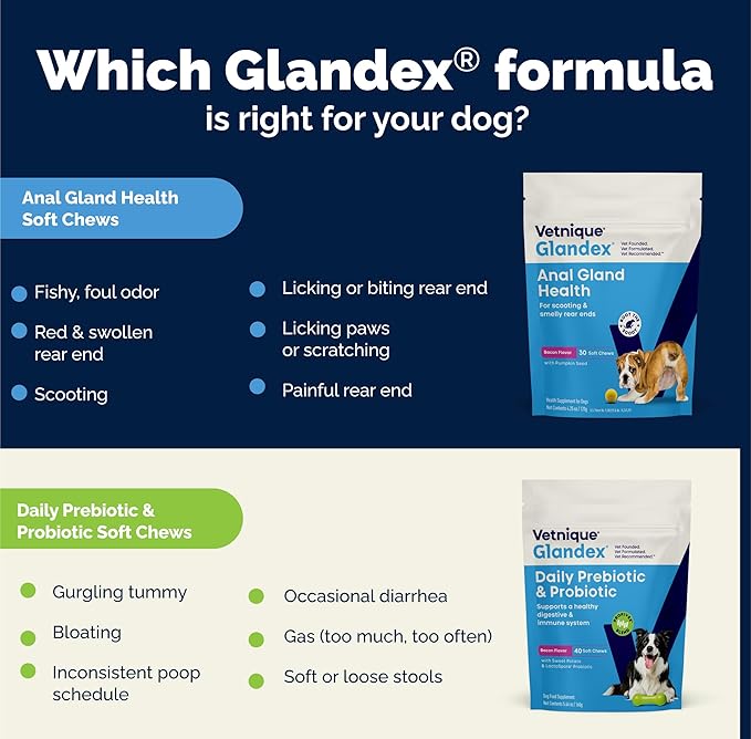 Vetnique Glandex Daily Probiotics for Dogs with Prebiotics to Support Gut Health with Fiber and Digestive Enzymes, Probiotic Chews or Powders (4.25oz Powder, Pork Powder)-Mewly Pet