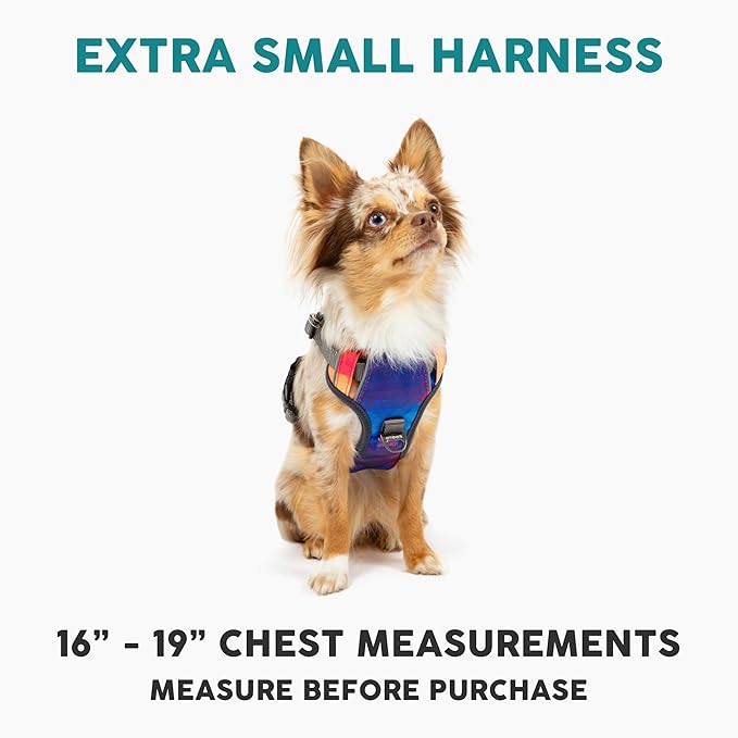 Embark Adventure Dog Harness, No-Pull Reflective Trim Dog Harness for Small, Medium & Large Dogs - Heavy Duty Oxford, 2 Leash Clips & Gel Lined Handle. Soft & Padded Puppy Dog Vest for Any Breed-Mewly Pet