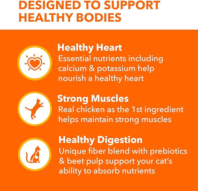 IAMS Proactive Health Adult Healthy Dry Cat Food with Chicken, 3.5 lb. Bag-Mewly Pet