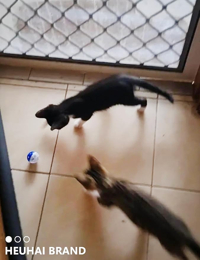 10-Pack Cat Toy Balls for Kittens and Adult Cats, Furry Fun (1.5'' - 2.1'', Cat Toys Value Pack)-Mewly Pet