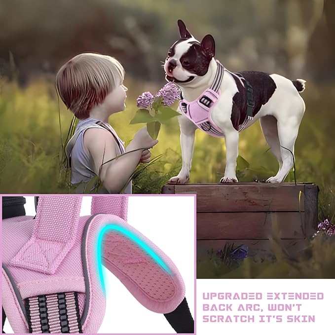 BUMBIN Dog Harness for Large Dogs, No Pull Adjustable No Choke Pet Vest with Dog Leash Fit Smart Reflective Pet Walking Harness for Training Easy Control Soft Handle Pink L-Mewly Pet