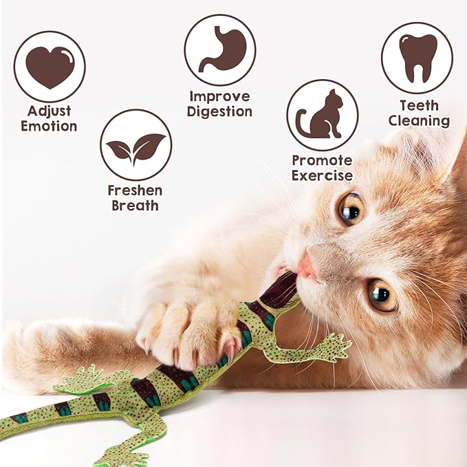 CiyvoLyeen Lizard Catnip Toys Chew Bite Resistant Toys for Indoor Cats Boredom Relief Teeth Cleaning Interactive Funny Cute Kitten Cat Lover Gifts Christmas Birthday Presents Set of 4-Mewly Pet