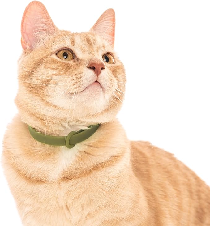 Breakaway Cat Collar - Soft, Comfortable, and Lightweight Safety Buckle Collar with Name Tag Ring for Outdoor Cats and Sensitive Skin Kittens by Nuvuq (6 ⅞" to 10 ¼", Green)-Mewly Pet