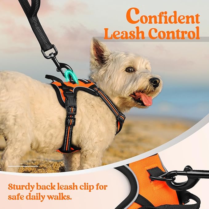 rabbitgoo Dog Harness No Pull with 2 Leash Clips, Adjustable Soft Padded, Reflective Oxford No Choke Pet Vest with Easy Control Handle for Puppy, Orange,XS-Mewly Pet