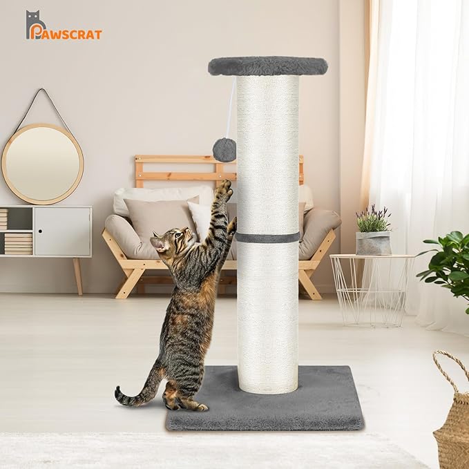 PAWSCRAT Cat Scratching Post 32" Tall, Large Diameter Natural Sisal Cat Scratch Post with Dangling Ball, Scratch-Resistant and Durable for Indoor Cats, Protect Your Furniture, LightGrey-Mewly Pet