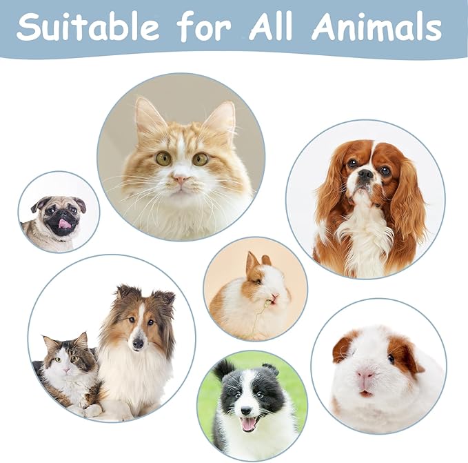 Cat Brushes for Indoor Cats, Dog Brush for Shedding with Metal Cat Comb, Self Cleaning Pet Hair Brush with Release Button for Grooming Kitten(Dark Grey)-Mewly Pet