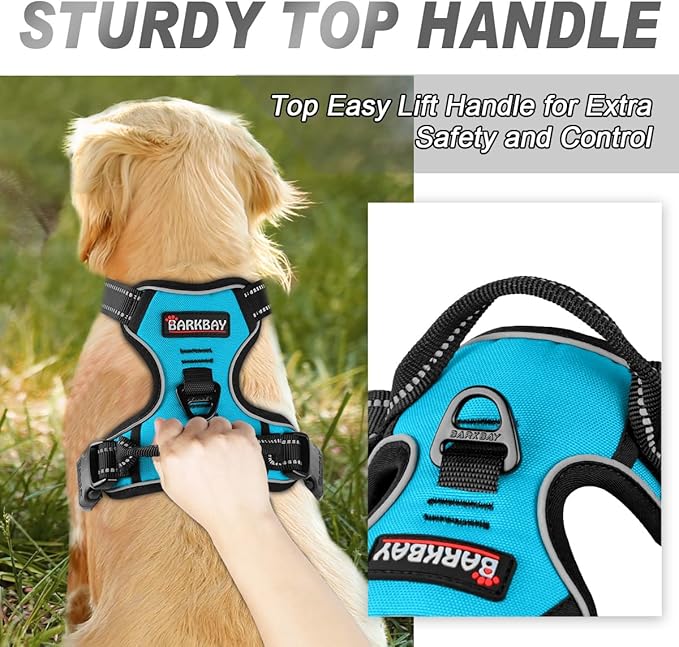 BARKBAY No Pull Dog Harness Front Clip Heavy Duty Reflective Easy Control Handle for Large Dog Walking(Blue,S)-Mewly Pet