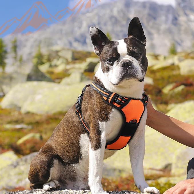 Eagloo Dog Harness Medium Sized Dog, No Pull Service Vest with Reflective Strips and Control Handle, Adjustable and Comfortable for Walking, No Choke Pet Harness with 2 Metal Rings, Orange, M-Mewly Pet