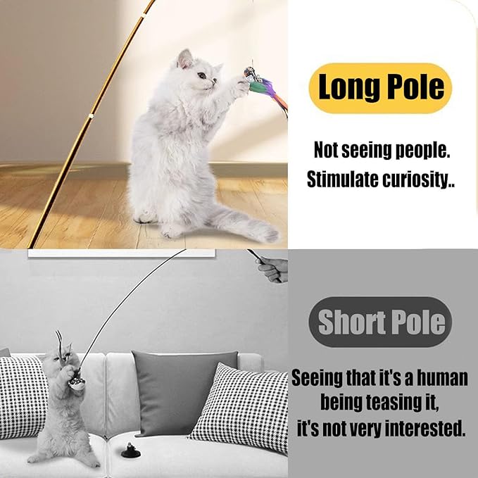 Interactive Cat Wand Toys Set, 2PCS Cat Teaser with 6 Replacement Birds, Feathers & Bells for Indoor Play-Mewly Pet