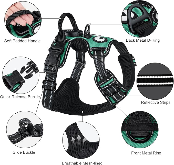 Taglory Light Up Dog Harness, Rechargeable No Pull Dog Vest with 3 Lightning Modes, Reflective Dog Harness with 2 Leash Clips & 4 Adjustable Slide Strips for Large Dogs, Turquoise-Green, XL-Mewly Pet