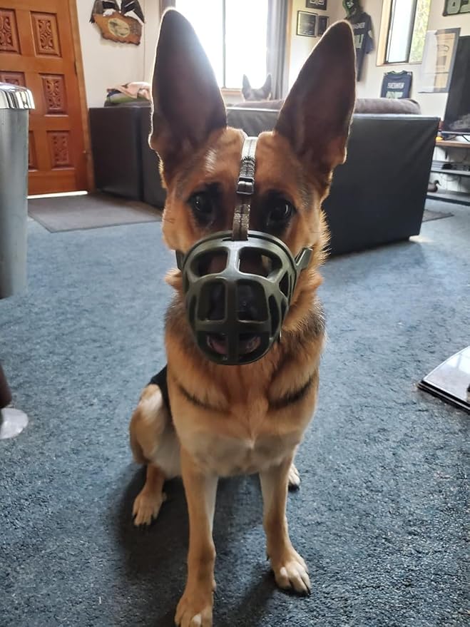 Mayerzon Dog Muzzle, Breathable Basket Muzzles for Small, Medium, Large and X-Large Aggressive Dogs Beagle German Shepherd Doberman, Cage Mouth Guard Stop Biting Chewing for Grooming Training-Mewly Pet