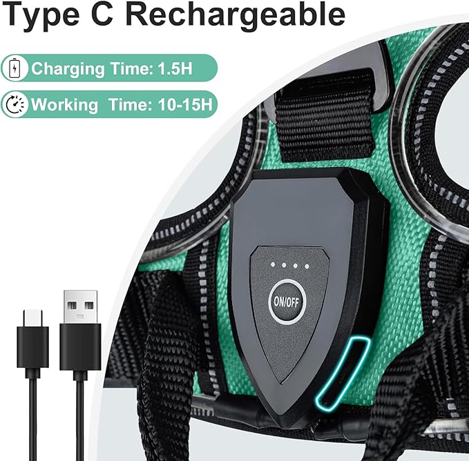Taglory Light Up Dog Harness, Rechargeable No Pull Dog Vest with 3 Lightning Modes, Reflective Dog Harness with 2 Leash Clips & 4 Adjustable Slide Strips for Medium Dogs, Turquoise-Green, M-Mewly Pet