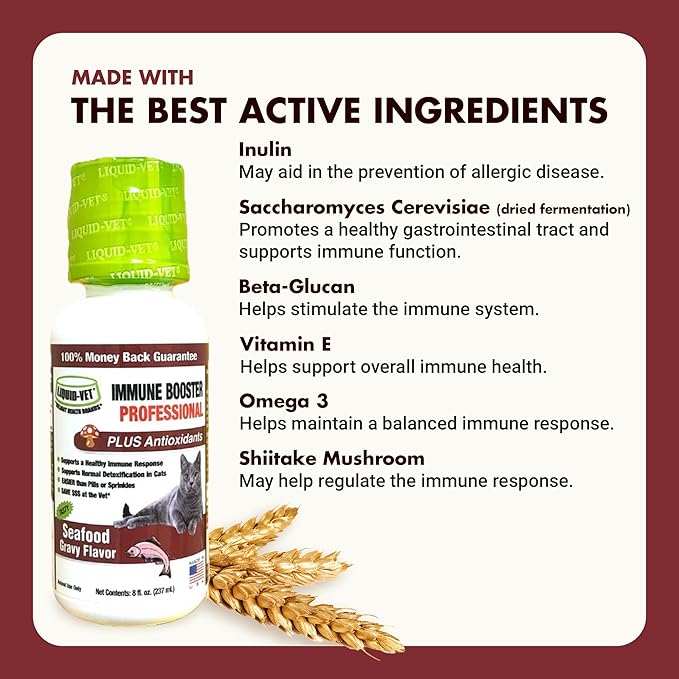 Immune Support for Cats – Daily Formula with Inulin, Beta-Glucan, Vitamin E, Omega-3s, Fermented Yeast & More! - Made for Picky Eaters-Mewly Pet
