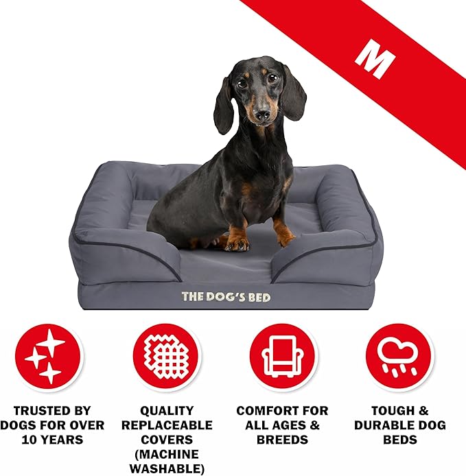 The Dog’s Bed, Orthopedic Standard Foam Waterproof Dog Bed with Standard Support, Medium Grey with Black Trim, Waterproof, Supportive Dog Bed with Replaceable Covers, Veterinary Approved-Mewly Pet