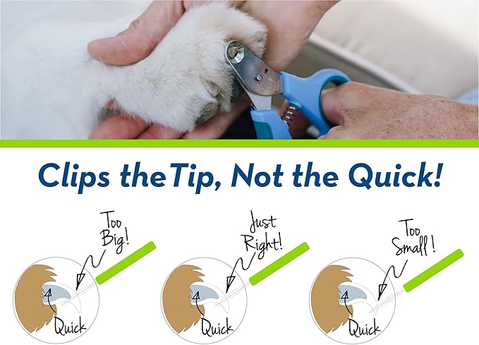 Zen Clipper Pet Nail Clipper for Dogs – Dog Nail Trimmer for Safer Pet Grooming Care - Clean, Quiet, and Easy-to-Use Stainless Steel Claw Trimmer - (3.5mm Hole)-Mewly Pet