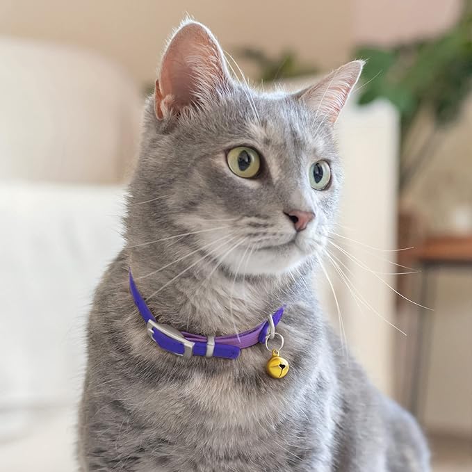 CollarDirect Leather Cat Collar with Bell - Kitten Collar, Small and Big Cat for Boy Cats, Girl Cats with Safety Elastic Strap (Neck Fit 8"-11", Purple)-Mewly Pet