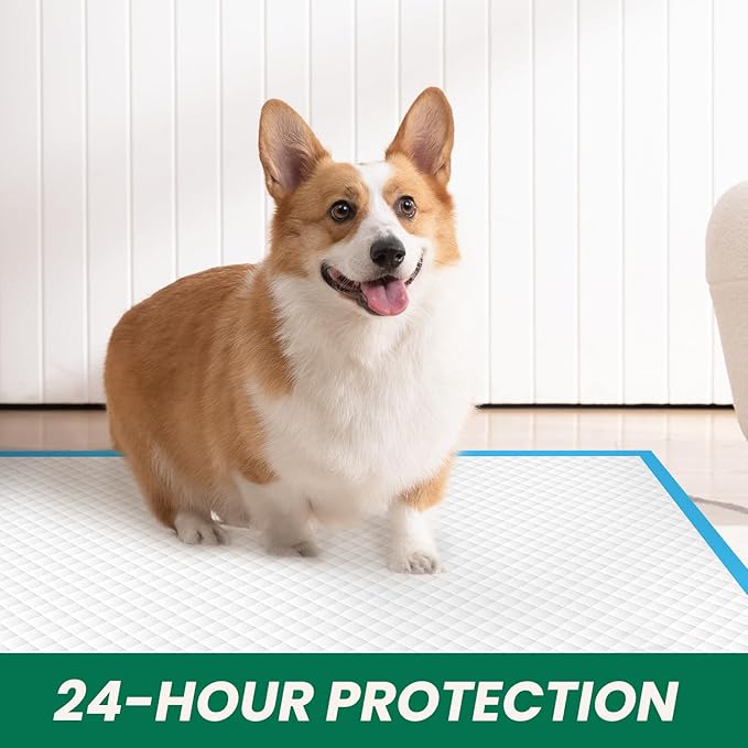 100 Count Large Dog & Cat Puppy Pee Pads - 28"x30" Absorbent Potty Training Pads | Leakproof Quick-Dry Disposable Pet Pads for Puppies, Dogs & Cats | Indoor, Outdoor, Litter Box, Housebreaking Use-Mewly Pet