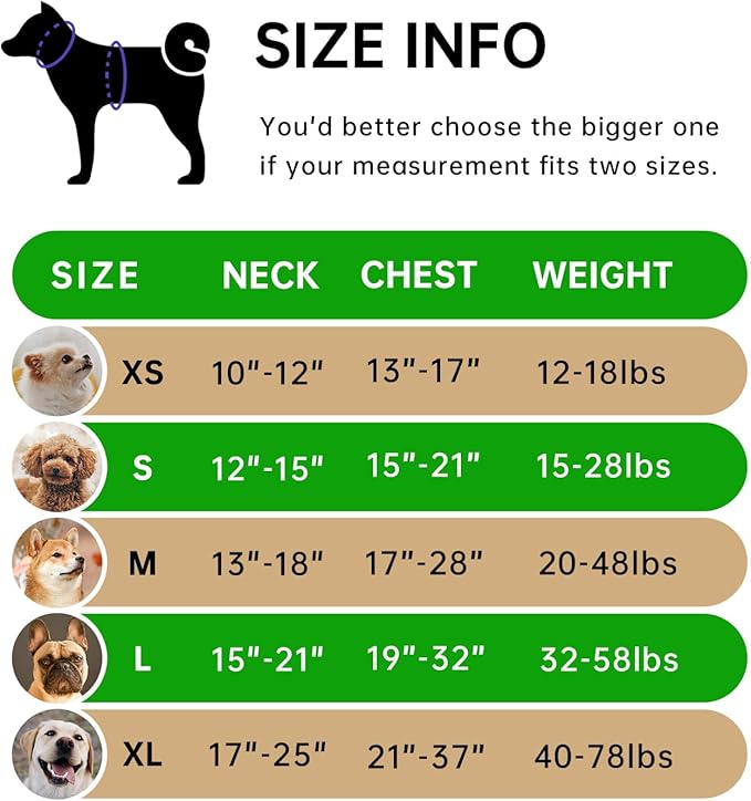 IVY&LANE No Pull Dog Harness for Large Dogs, Dog Vest Harness with Leash, Safety Belt and Storage Strap, Fully Adjustable Harness, 360° Reflective Strip, Soft Handle (Green, L)-Mewly Pet