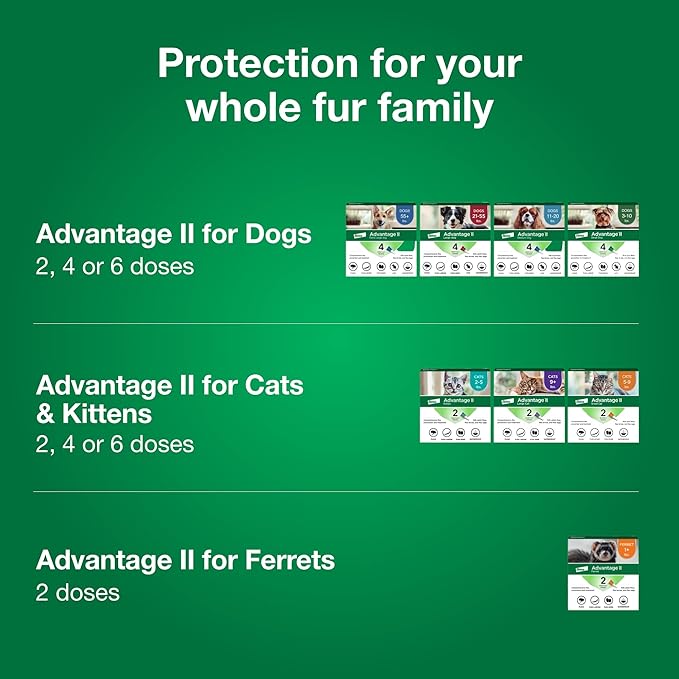 Advantage II Small Cat Vet-Recommended Flea Treatment & Prevention | Cats 5-9 lbs. | 12-Month Supply-Mewly Pet