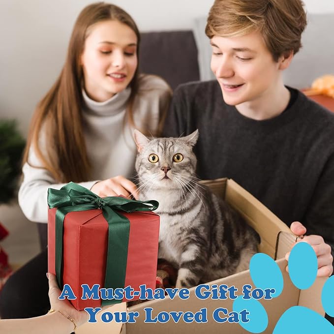 Pawaboo Cat Toys, 2 Pack Catnip Toys with Bell and Crinkle Paper, Soft and Durable Kitten Toys, Interactive Cat Toys for Indoor Cats, Cat Plush Kicker Toys for Kittens Kitty, Cute Cat Stuff-Mewly Pet