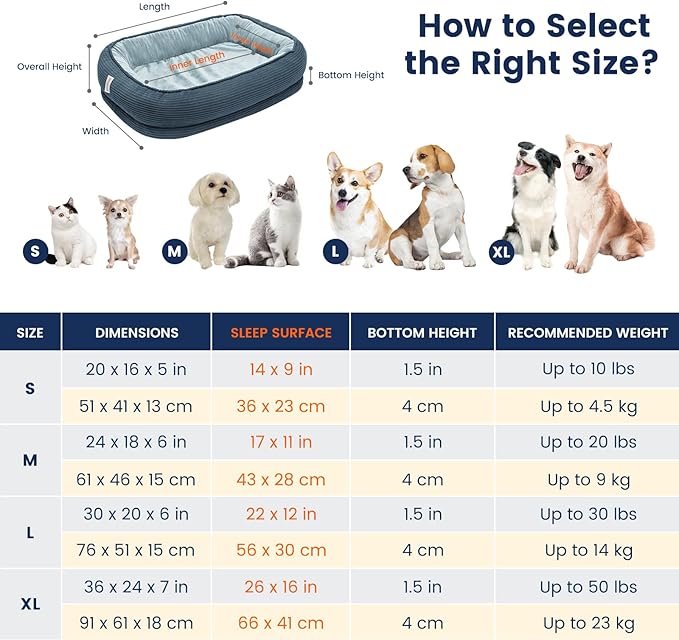 Orthopedic Cat Beds for Indoor Cats, Egg-Crate Memory Foam Pet Sofa with Bolster Sides, Oval Crate Bed, Washable Removable Cover & Non-Slip Bottom, Haze Blue-Mewly Pet