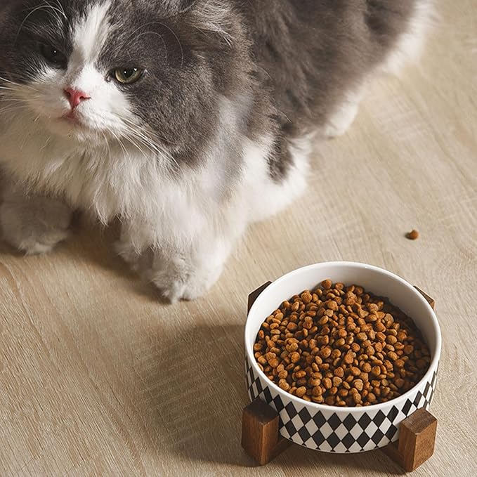 Petygooing Ceramic Dog Cat Bowl Set with Stand,Pet Food and Water Bowl,Small Dog Bowls Anti -Slip Set of 2 Cat Dishes Food Bowls Dish Small Size Pet (13.5OZ/5.1 in) Black Rhombus-Mewly Pet