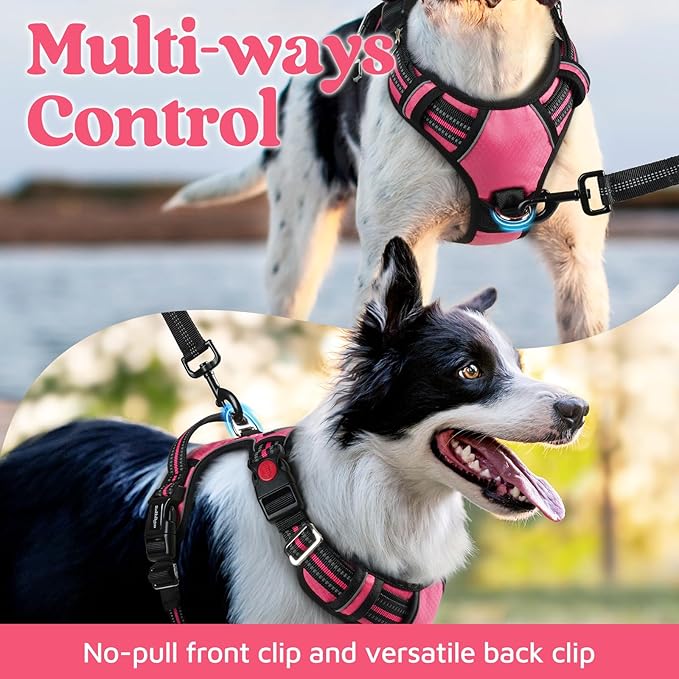 rabbitgoo Dog Harness for Large Dogs, No Pull Pet Vest with 3 Buckles, Adjustable Soft Padded Pet Harness with Easy Control Handle and Reflective Strips, Pink, XL-Mewly Pet