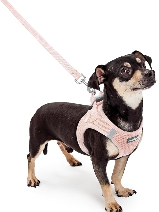 rabbitgoo Dog Harness Small Sized and Leash Set, Step in Soft Light Puppy Vest, Breathable Mesh Pet Harness, Reflective for Outdoor Safe Walking, Pink XXXS-Mewly Pet