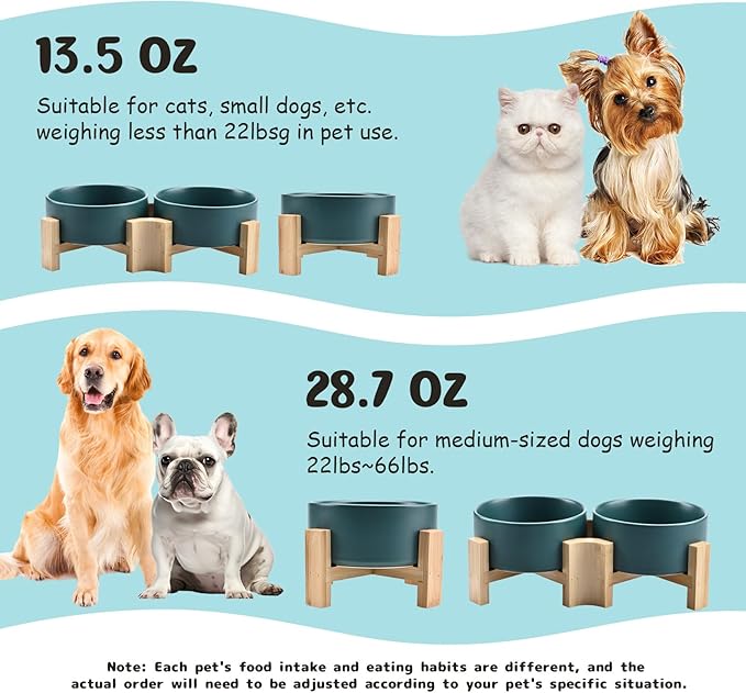 SPUNKYJUNKY 15° Slanted Ceramic Dog and Cat Bowl with Wooden Stand, Tilted Bulldog Food and Water Bowl No Slip Non-Spill for Cats Medium Dogs Big Face Pets 13.5 OZ (1.7 Cups, Green × 2)-Mewly Pet