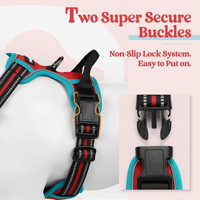 rabbitgoo Dog Harness No Pull with 2 Leash Clips, Adjustable Soft Padded, Reflective Oxford No Choke Pet Vest with Easy Control Handle for Medium Sized Dogs, Red & Teal, M-Mewly Pet