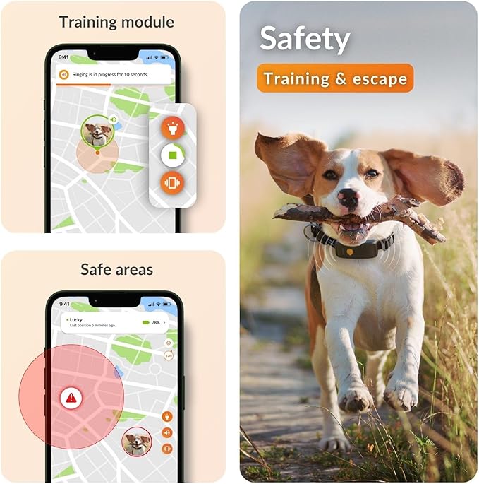 Weenect Dog XT - New GPS Collar for Dogs | XL Antenna | Waterproof | Ultra-Durable Integrated Julius-K9 Collar | Subscription Required-Mewly Pet