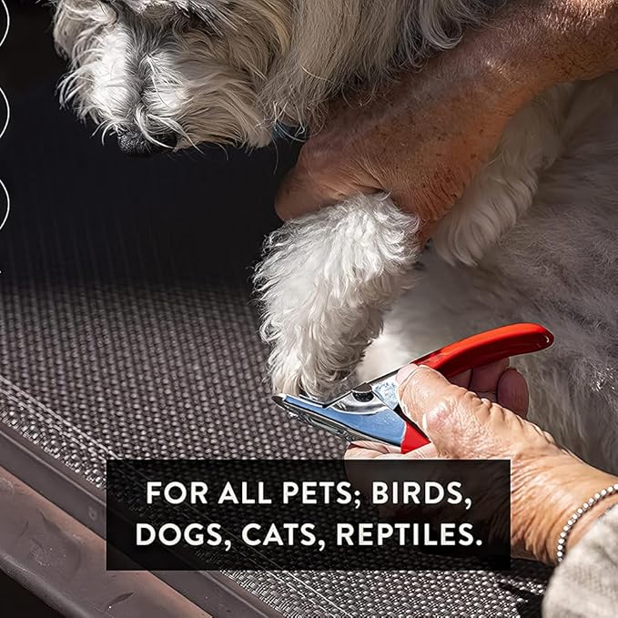 Pet Care Pedicure Kit for Dogs, Cats, Birds and Reptiles - Nail Clippers, File and Scissors Style Clippers Plus Case (3 Nail Clippers Plus Nail File)-Mewly Pet