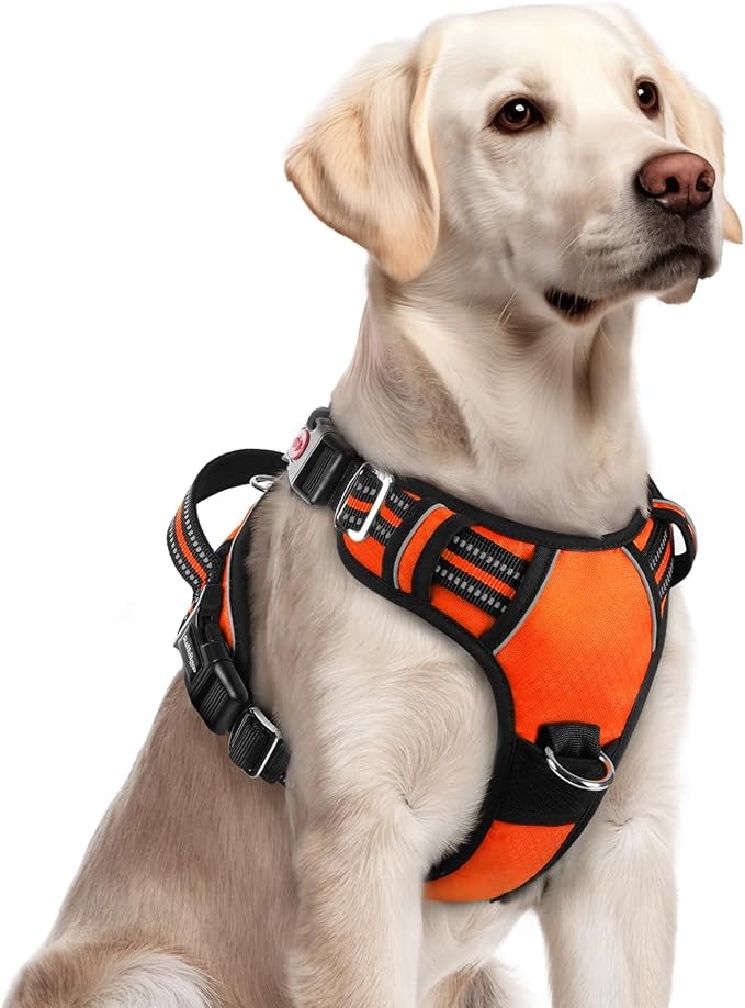 rabbitgoo Dog Harness for Large Dogs, No Pull Pet Vest with 3 Buckles, Adjustable Soft Padded Pet Harness with Easy Control Handle and Reflective Strips, Orange, L-Mewly Pet