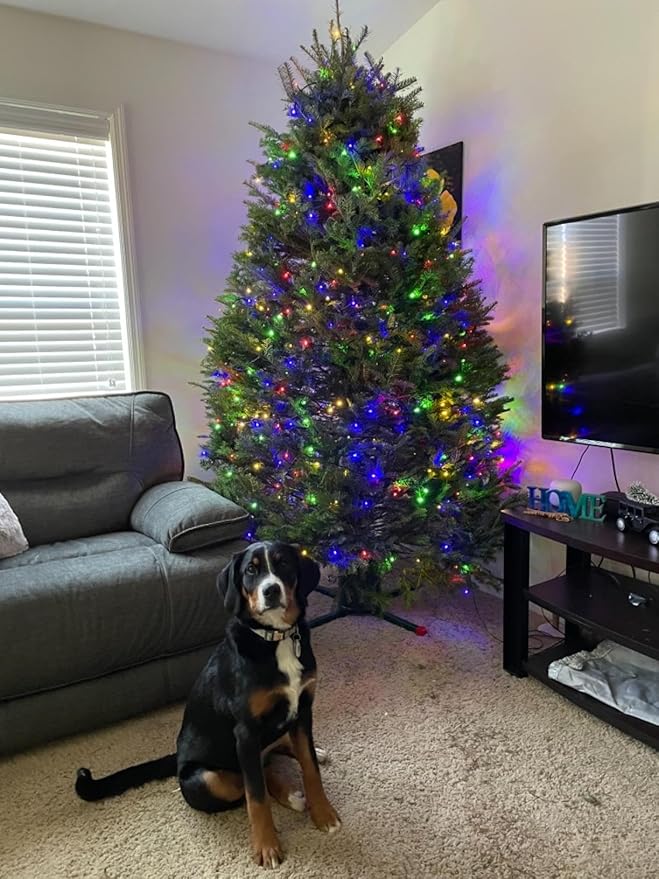 RPGT Christmas Tree Light 200 LEDs 73ft Green Cable Wire Fairy String Twinkle Lights Plug in 12 Modes for Xmas Party, Indoor,Outdoor, Garden, Wedding, Home Decoration (Multi Color)