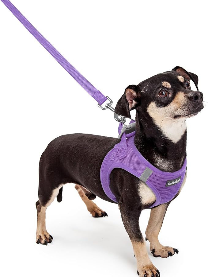 rabbitgoo Dog Harness Small Sized and Leash Set, Step in Soft Light Puppy Vest, Breathable Mesh Pet Harness, Reflective for Outdoor Safe Walking, Purple XXXS-Mewly Pet