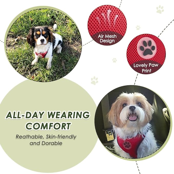 SlowTon Dog Seat Belt Harness for Car, Dog Car Harness Adjustable Mesh Breathable & Dog Seatbelt Safety Tether with Elastic Bungee for Small Medium Large Pets(Red, Double Clip, L)-Mewly Pet